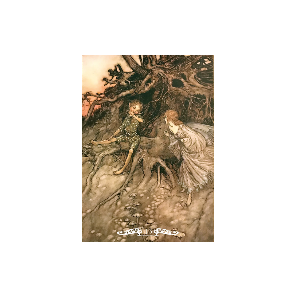 or30-fairyoracle022-1024x1024-yJih